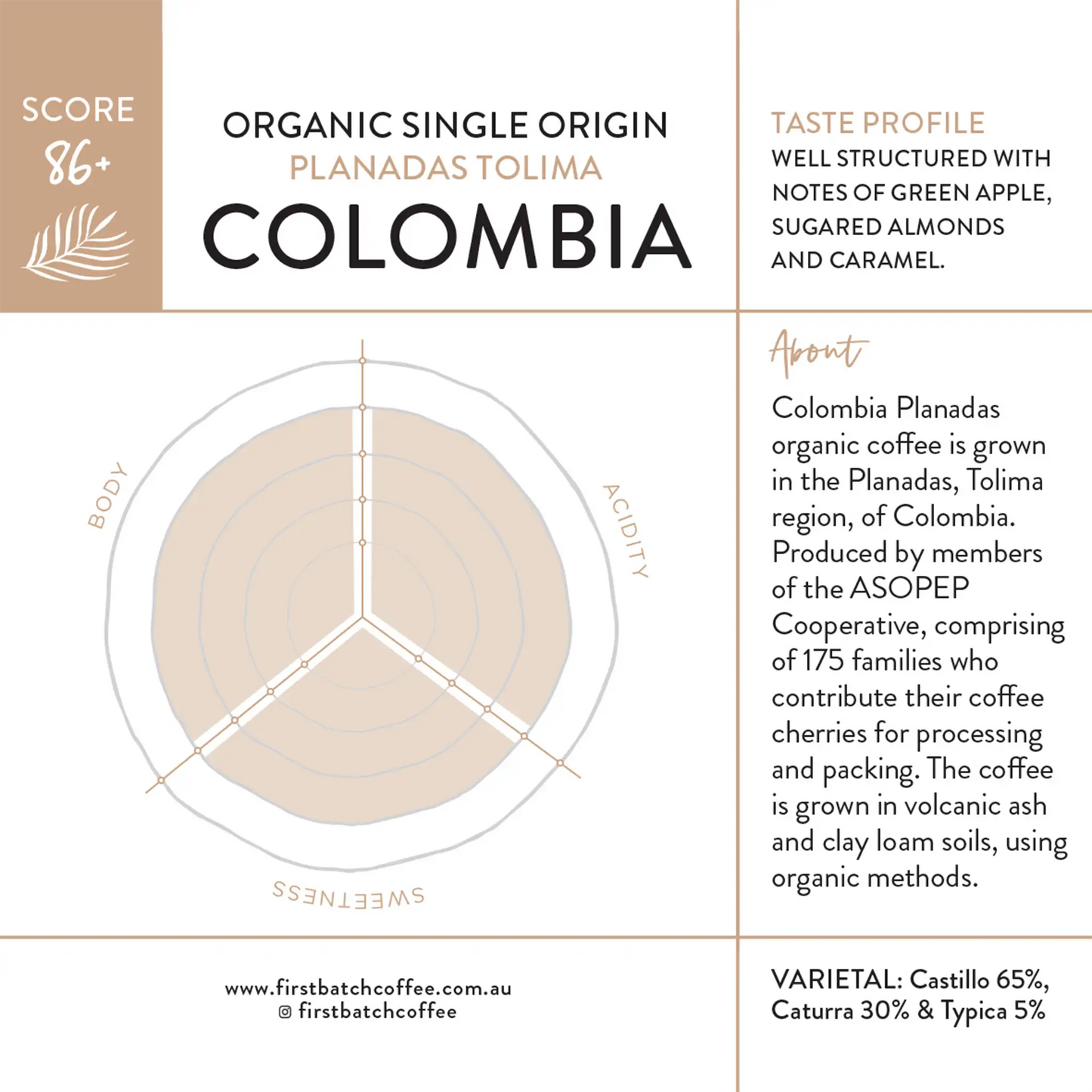 First Batch Coffee Roasters - Speciality Coffee Roasting - Organic Single Origin - Tasting Card